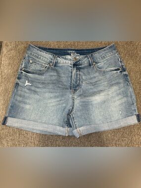Time And Tru Denim Shorts